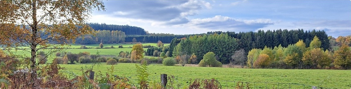 Herfst in de Ardennen