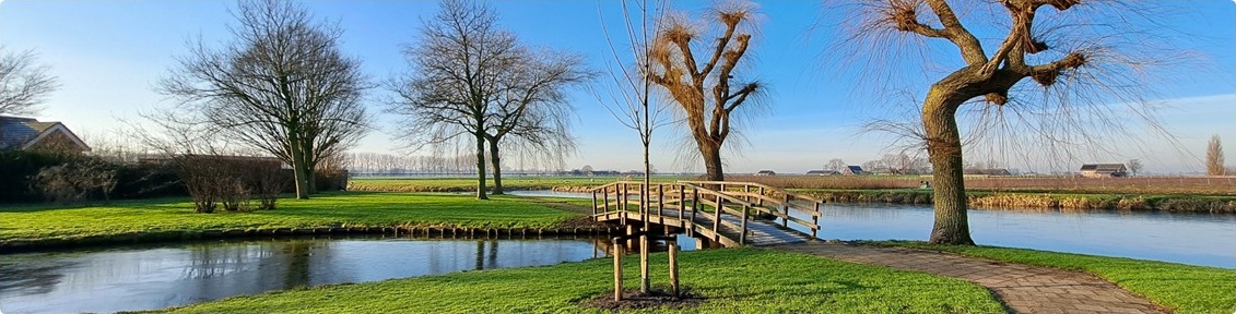 Parkje in Ter Aar op een zonnige winterdag