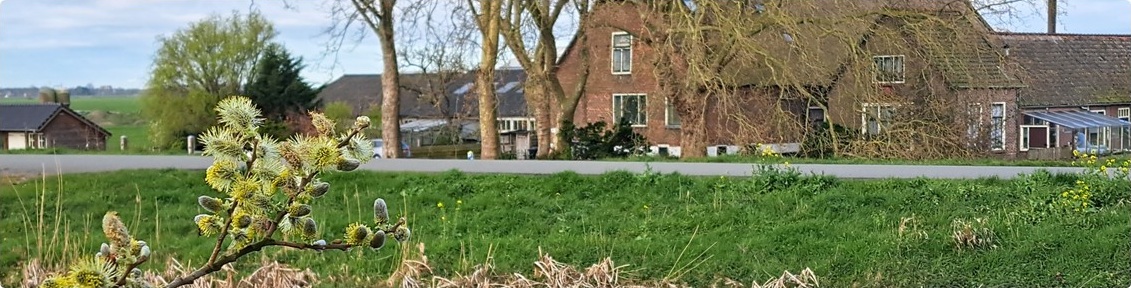 De lente is in aantocht